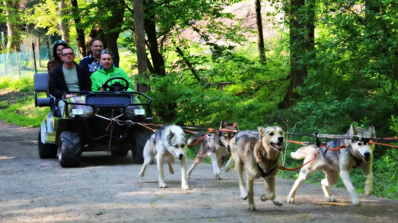 Husky kutyafogat extra túra fő kép