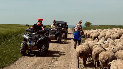 Lendületes Off-Road kaland a Balatonnál! – Quad tereptúra túravezetővel 7