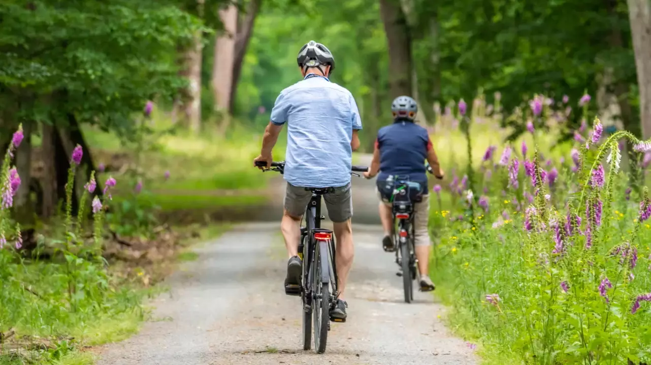 Kerekezzetek a Tisza tó körül/ Biketek Bérlése Tiszafüreden fő kép