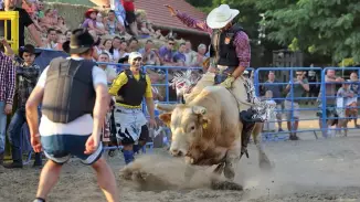 Bikarodeó / Legveszélyesebb Meglepkék élmény