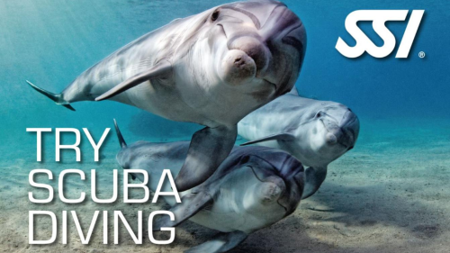 Haladó Próbamerülés az Aquaworldben 1