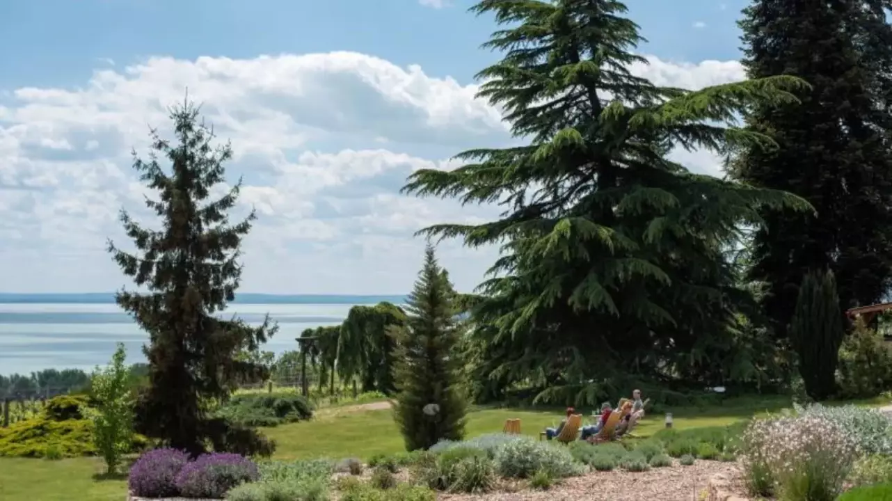 Arborétumi séta az egyedülálló Folly Arborétumban fő kép