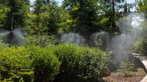 Arborétumi séta az egyedülálló Folly Arborétumban 5