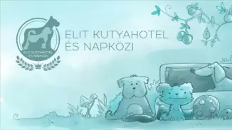 Kutyahotel ajándékba négylábú barátnak