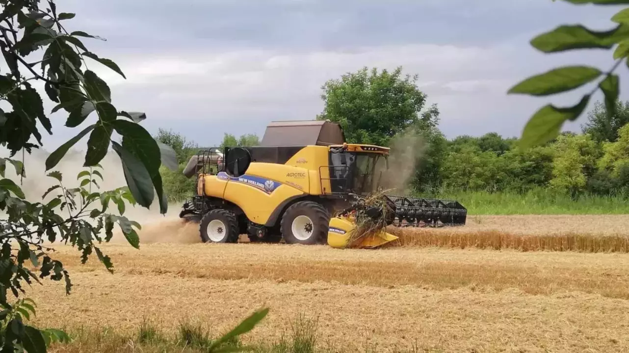 Kombájnos élmények betakarítás közben! Tatán fő kép