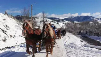 Paták kopogása a hóban – Lovasszánozás Gyimesben és a Csíki-Havasokban