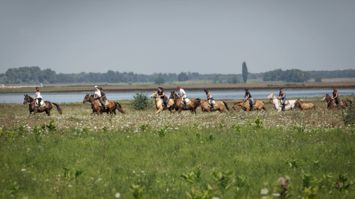 Attila túra - 1 napos túralovaglás Akhal Teke lovakon Ópusztaszeren 2