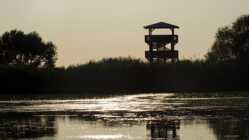 Természet, élmények, szabadság! – Tisza-tavi kenus vízitúra (Családi) 6